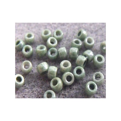 Perles Rocailles Matubo 7/0 Green Ceramique Look 03000/14459 (X10gr) 