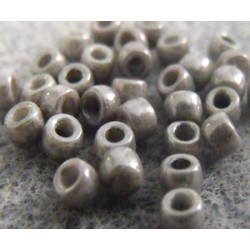 Perles Rocailles Matubo 7/0 Grey Ceramique Look 03000/14449 (X10gr) 