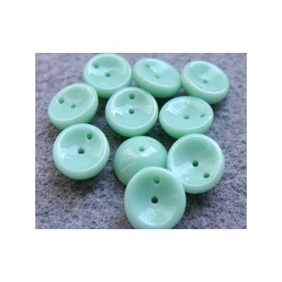 Perles Piggy Opaque Menthe 4X8mm (Xenviron50)