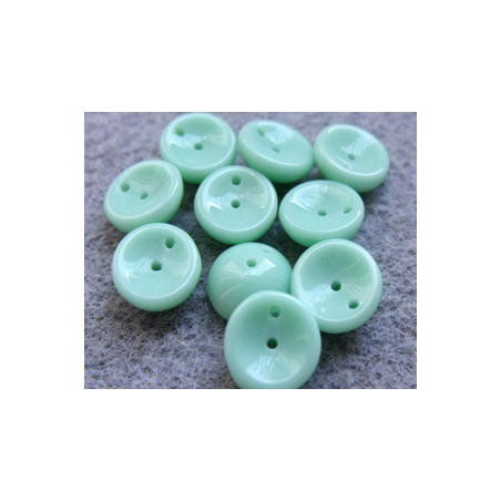 Perles Piggy Opaque Menthe 4X8mm (Xenviron50)