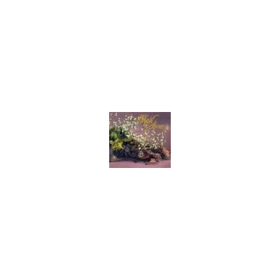 Livre "Charl'Stone 4" (x1) Livre "Charl'Stone 4" (x1)