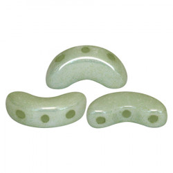Perles Arcos® Par Puca® Opaque Ceramic Look Light Green (5gr)