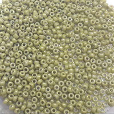 R11-4474 Rocailles 11/0 Duracoat Opaque Cactus DB2124 (x 10gr) R11-4474 Rocailles 11/0 Duracoat Opaque Cactus DB2124 (x 10gr)