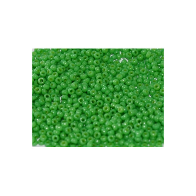 R15-4476 Rocaille 15/0 Duracoat Opaque Fiji Green DB2126 (x5gr)