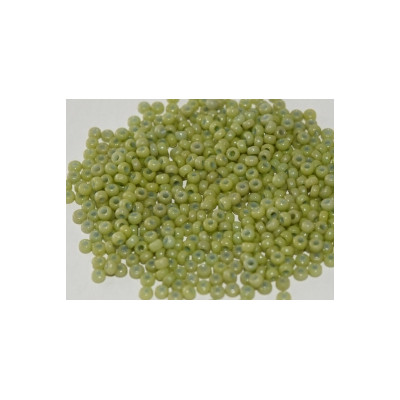 R15-4473 Rocaille 15/0 Duracoat Opaque Fennel DB2123(x5gr) R15-4473 Rocaille 15/0 Duracoat Opaque Fennel DB2123(x5gr)