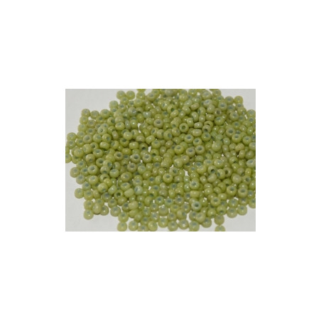 R15-4473 Rocaille 15/0 Duracoat Opaque Fennel DB2123(x5gr)