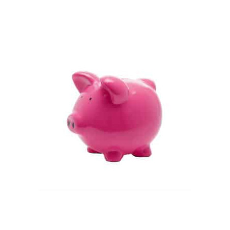 Bon économe de 20 euros (X1) 