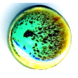 Céramique rond plat Vert 20X10mm(x1)