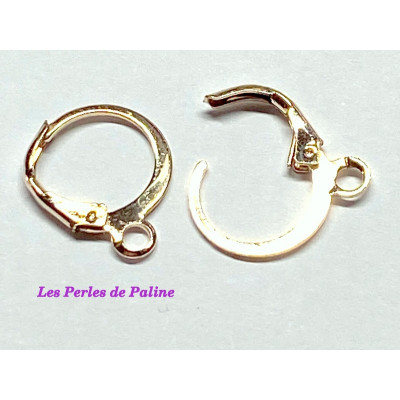 Boucle Dormeuse Rose Gold 15X13mm (X2) 