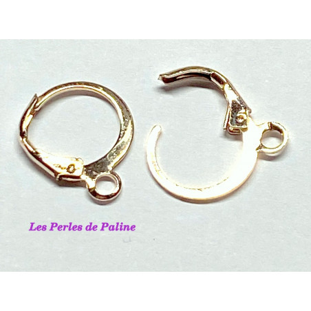 Boucle Dormeuse Rose Gold 15X13mm (X2) 