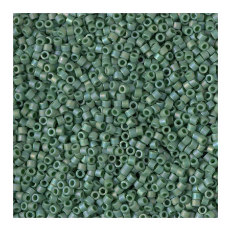 DB2311 DELICAS 11/0 GLAZED TURTLE GREEN MAT AB (X5G) 