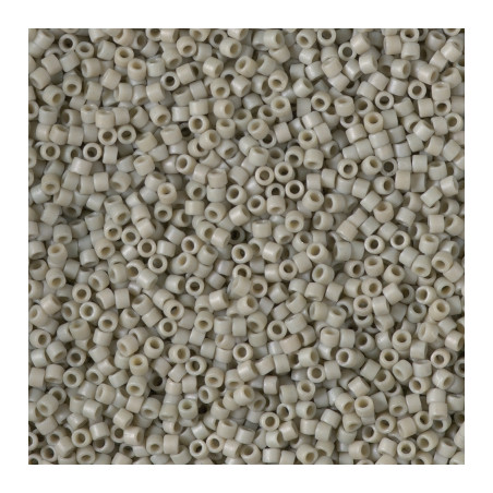 DB2282 DELICAS 11/0 GLAZED CACTUS MAT (X5G)