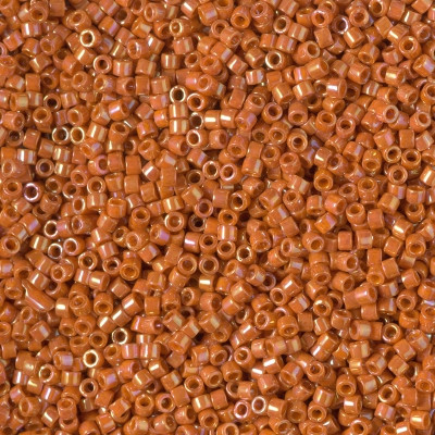 DB2274 DELICAS 11/0 GLAZED PERSIMMON (X5G) DB2274 DELICAS 11/0 GLAZED PERSIMMON (X5G)