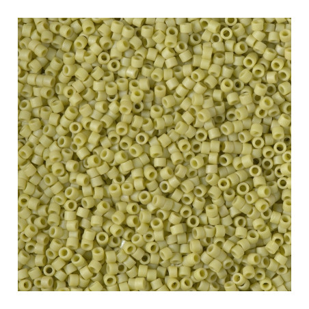 DB2290 DELICAS 11/0 GLAZED SPRING GREEN MAT (X5G) 