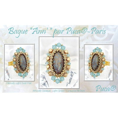 Schéma Bague Ann par Puca® Schéma Bague Ann par Puca®
