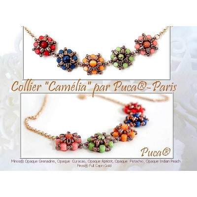 Schéma Camelia par Puca® Français  