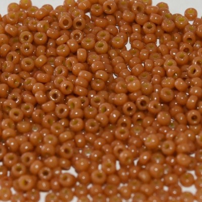 R11-4457 Rocailles 11/0 Duracoat Opaque Cedar DB2107 (x10gr) R11-4457 Rocailles 11/0 Duracoat Opaque Cedar DB2107 (x10gr)