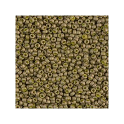 R11-2032 Rocailles 11/0 Opaque Mat Luster Golden Olive (DB371) (x10gr) R11-2032 Rocailles 11/0 Opaque Mat Luster Golden Olive (DB371) (x10gr)