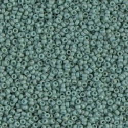 R15-2028 Rocailles 15/0 Opaque Seafoam Luster Mat (DB374) (x5gr)