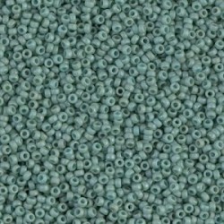 R15-2028 Rocailles 15/0 Opaque Seafoam Luster Mat (DB374) (x5gr)