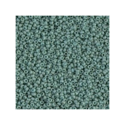 R15-2028 Rocailles 15/0 Opaque Seafoam Luster Mat (DB374) (x5gr)