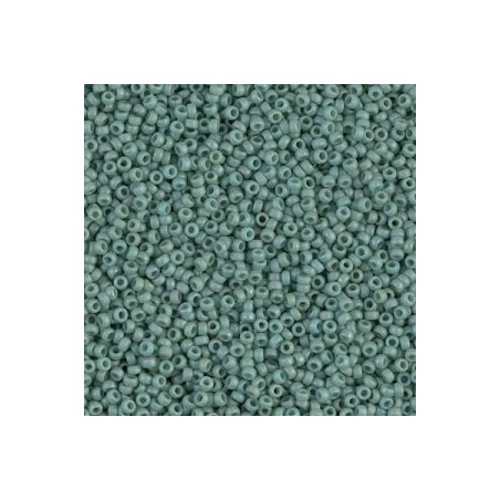 R15-2028 Rocailles 15/0 Opaque Seafoam Luster Mat (DB374) (x5gr)