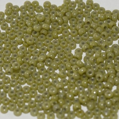 R15-4474 Rocaille 15/0 Duracoat Opaque Cactus DB2124 (x5gr) R15-4474 Rocaille 15/0 Duracoat Opaque Cactus DB2124 (x5gr)