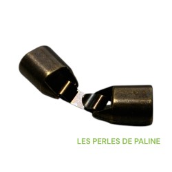 Fermoir à Clipser Bronze...