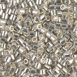 DBL-0035 Delicas 8/0 Argent...