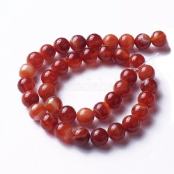 Perle 8mm Agathe Rouge (x1Fil)