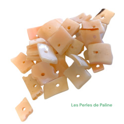 Chips Coquillage 5x1mm (x20)