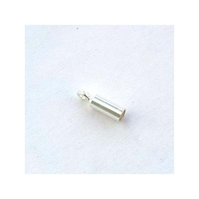 Embout 2,5X8mm Argenté (x2)