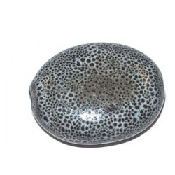 Céramique Oval plat Gris 29X20X12mm(x1)