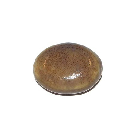 Céramique Oval plat Marron clair 29X20X12mm(x1)