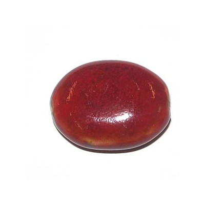 Céramique Oval plat Rouge 29X20X12mm(x1)