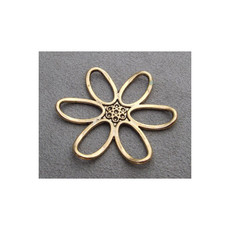 Marguerite Dorée 50mm(X1)