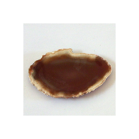 Tranche d'Agate 50/31MM