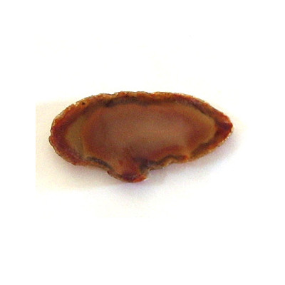 Tranche d'Agate 32/64MM