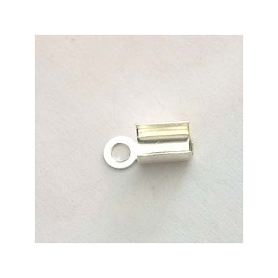 Embout 8X4mm Argentés (X2) Embout 8X4mm Argentés (X2)