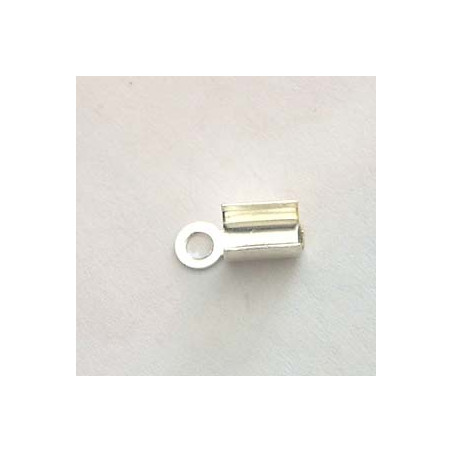Embout 8X4mm Argentés (X2)