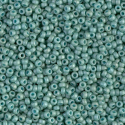 R11-2028 Rocailles 11/0 Fancy Frosted  Pale Seafoam (=DB374) (x 10gr)
