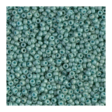R11-2028 Rocailles 11/0 Fancy Frosted  Pale Seafoam (=DB374) (x 10gr)