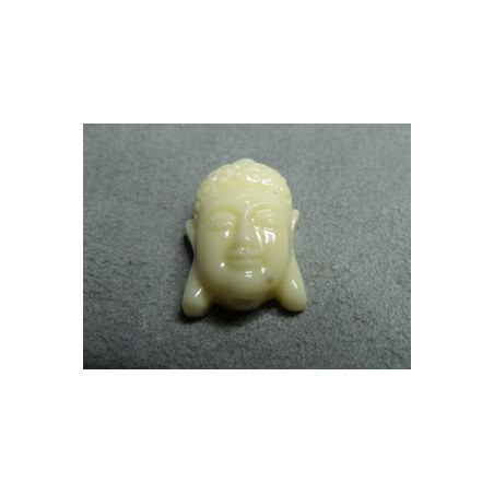 Tête Plate Boudha Ivoire 22X15mm (x1)